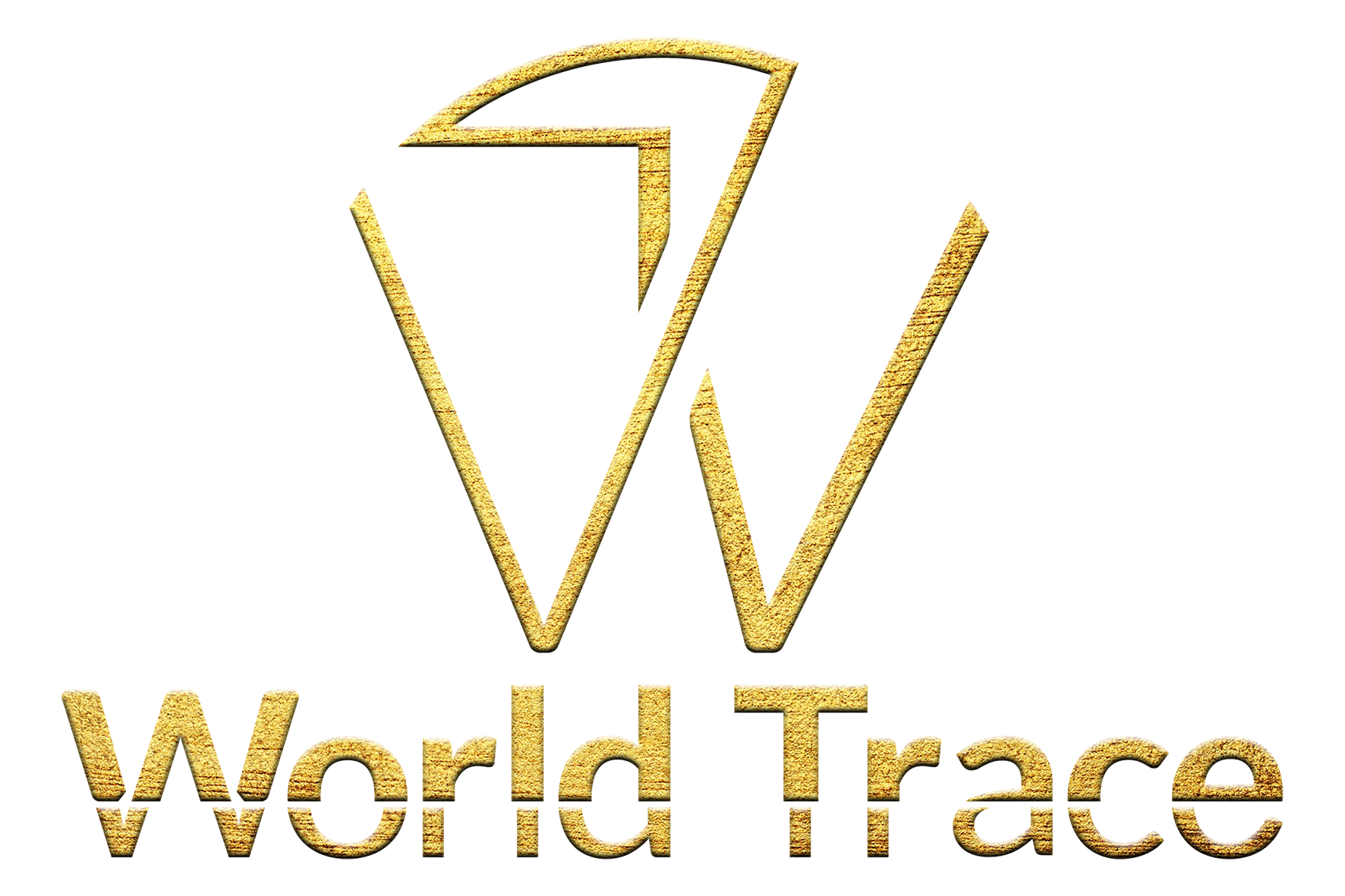 World Trace Ltda Logo